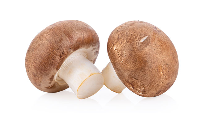 mushroom penis head