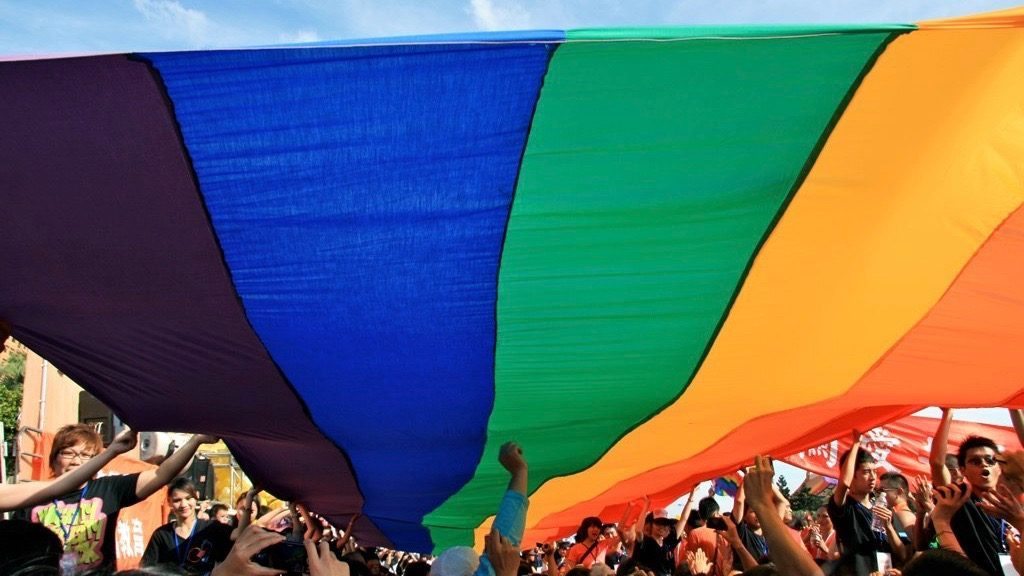婚姻平權法審查 反對團體舉牌抗議 1