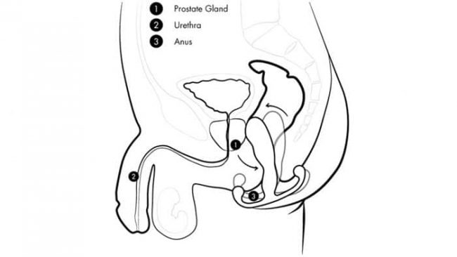 Best Prostate Orgasm