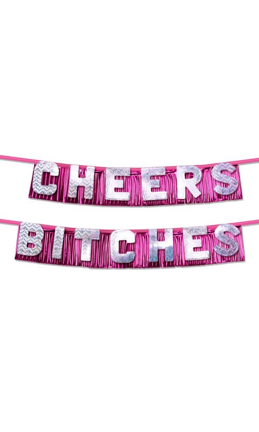 BACHELORETTE CHEERS BITCHES PARTY BANNER back
