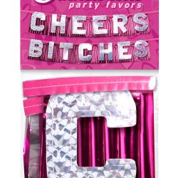 BACHELORETTE CHEERS BITCHES PARTY BANNER main