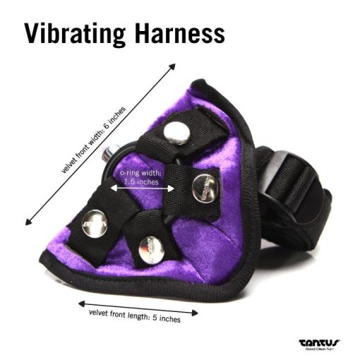 BEND OVER INTERMEDIATE HARNESS PURPLE 2