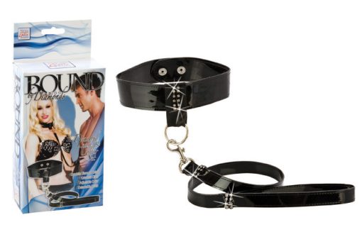 BOUND BY DIAMONDS LEASH & COLLAR back