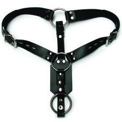 Anal Plug Harness with Cock Ring Black