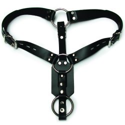 BUTT PLUG HARNESS W/COCK RING main