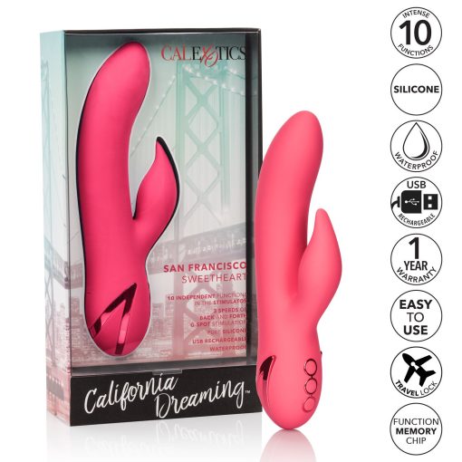 CALIFORNIA DREAMING SAN FRANCISCO SWEETHEART RABBIT 2