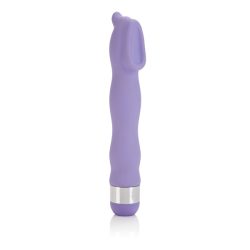 CLITORAL HUMMER PURPLE 10 FUNCTION main