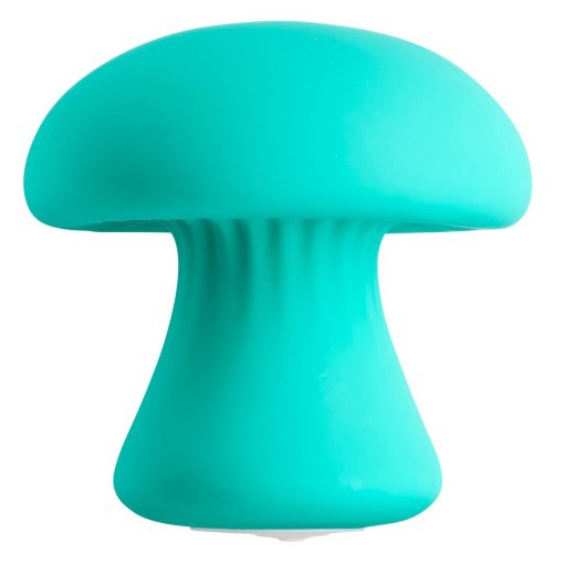 CLOUD 9 HEALTH & WELLNESS TEAL PERSONAL MUSHROOM MASSAGER main