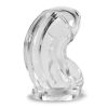 COCK-LOCK CHASTITY CLEAR (NET) back