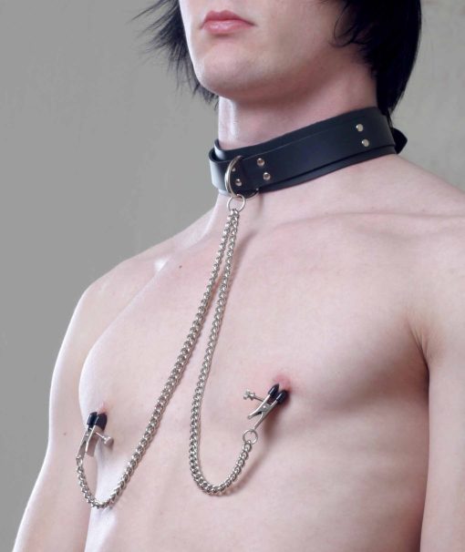 COLLAR W/ ATTACHED NIPPLE CLAMPS back