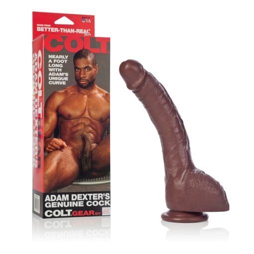 COLT ADAM DEXTER DONG 3