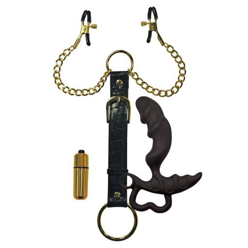 (d) sexperiments golden opportunities kit