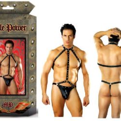 GLADIATOR SM-MED (FETISH CIRE STUDDED) main