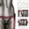 HER ROYAL HARNESS THE REGAL DUCHESS RED details