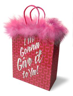 I'M GONNA GIVE IT TO YA! GIFT BAG main