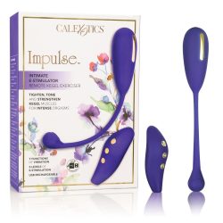 IMPULSE INTIMATE E-STIMULATOR REMOTE KEGEL EXERCISER main