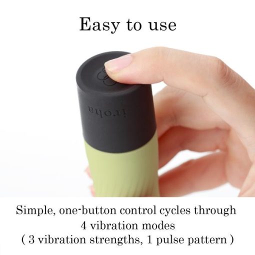 IROHA ZEN MATCHA (NET) 2