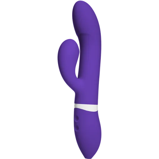 IVIBE ICOME PURPLE main