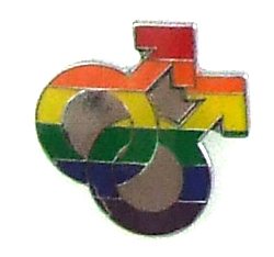 Gaysentials Lapel Pin Rainbow Double Male