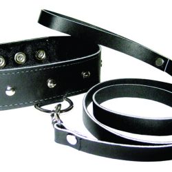LEATHER COLLAR & LEASH SET main