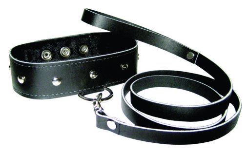 LEATHER COLLAR & LEASH SET main