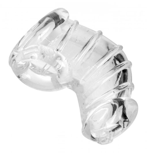 MASTER SERIES DETAINED CHASTITY CAGE back