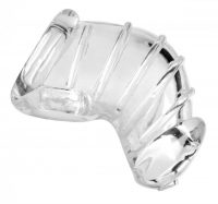 MASTER SERIES DETAINED CHASTITY CAGE main