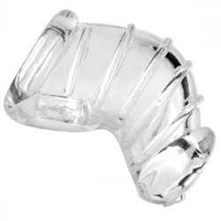 MASTER SERIES DETAINED CHASTITY CAGE main