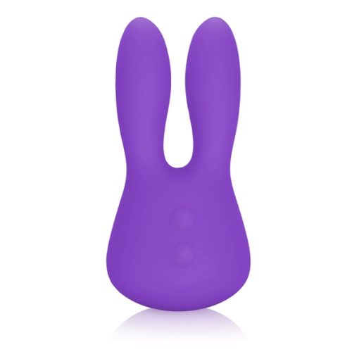 MINI MARVELS MARVELOUS BUNNY back