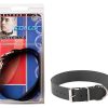 PLAIN COLLAR 1IN W/BUCKLE & D RING back