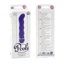 POSH SILICONE TEASER PURPLE main