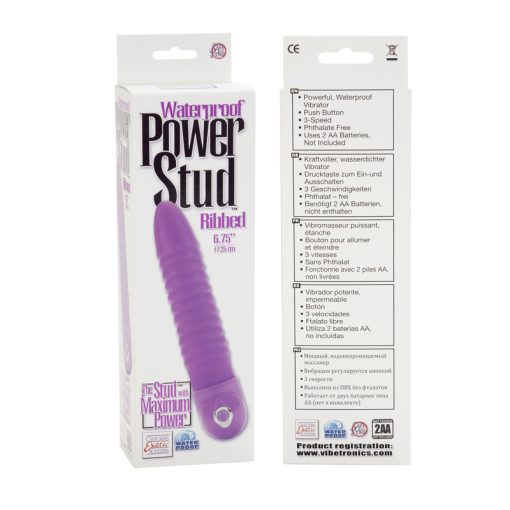 POWER STUD RIBBED W/P PURPLE back