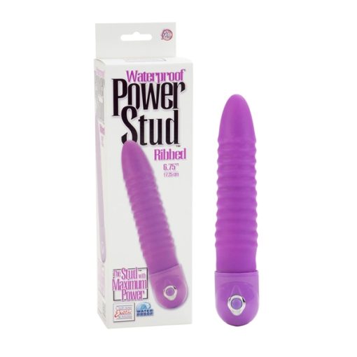 POWER STUD RIBBED W/P PURPLE main