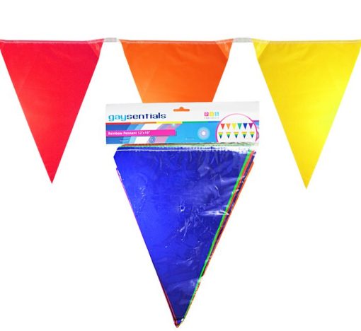 RAINBOW SOLID PENNANTS back