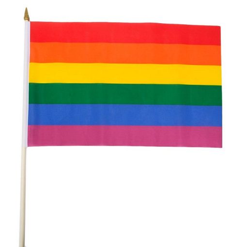RAINBOW STICK FLAG back