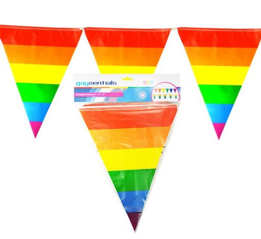 RAINBOW STRIPED PENNANTS back