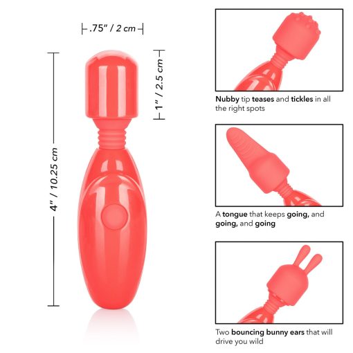 RECHARGEABLE MASSAGER KIT details