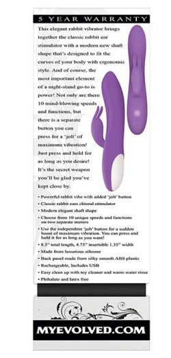 ROMANTIC RABBIT PURPLE VIBRATOR main