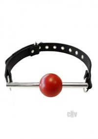 Rouge Ball Gag with Stainless Steel Rod Red Black