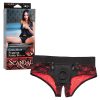 SCANDAL CROTCHLESS PEGGING PANTY SET L/XL main