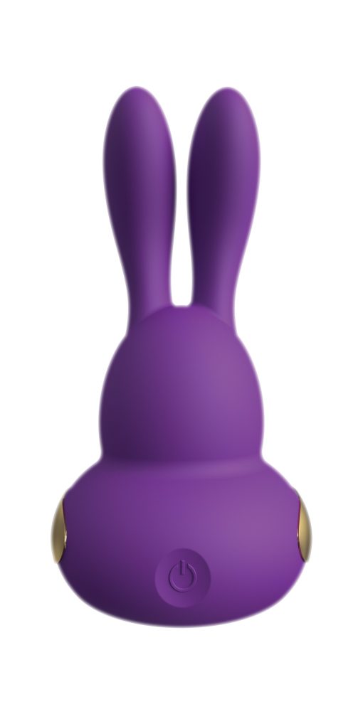 (WD) CHARI PURPLE VIBRATOR main