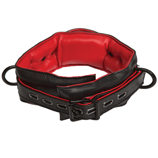 (WD) KINK LEATHER HANDLER'S CO BLACK/RED main