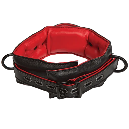 (WD) KINK LEATHER HANDLER'S CO BLACK/RED main