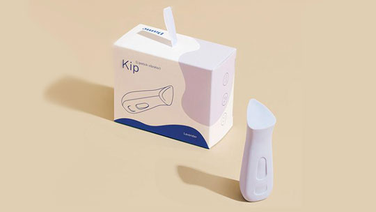 Kip Lipstick Best Discreet Vibrator Box