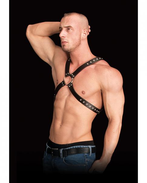 Adonis high chest halter black leather o/s second