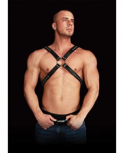 Adonis High Chest Halter Black Leather O/S main