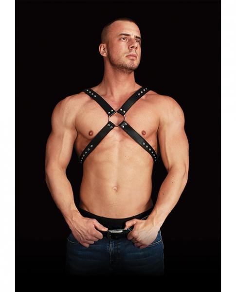 Adonis high chest halter black leather o/s main