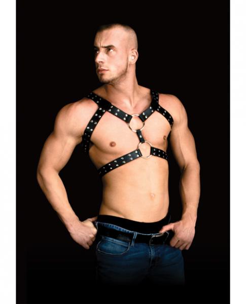 Andreas masculine masterpiece body harness black second