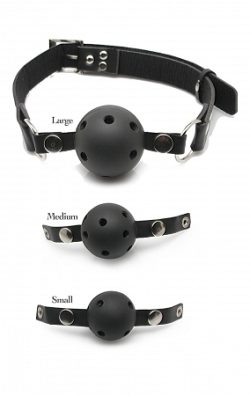 Ball Gag Training System main