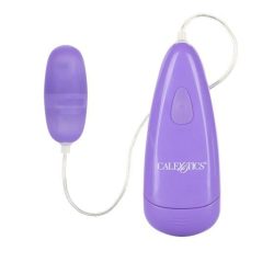 Berman intimate basics lila vibrating bullet main